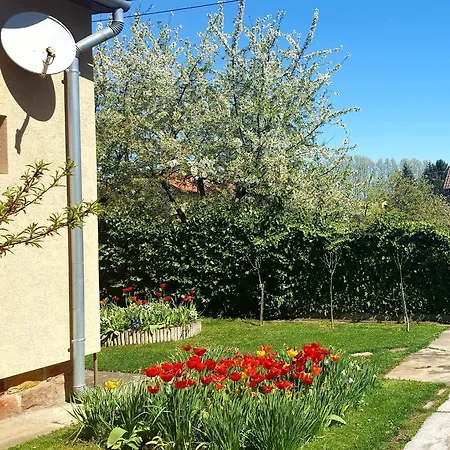 Borostyan Apartmann Appartement *