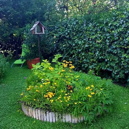 Borostyán Apartmann Apartman Balatonföldvár