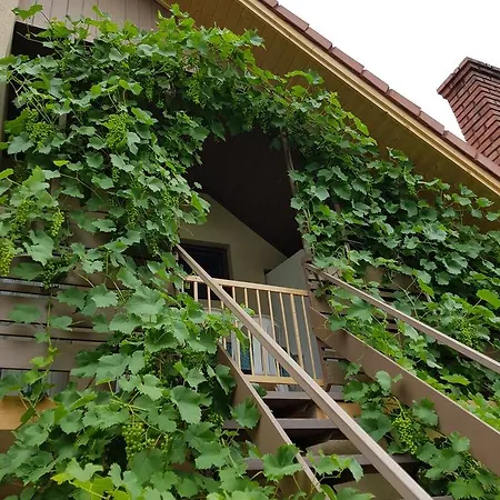 Borostyán Apartmann *