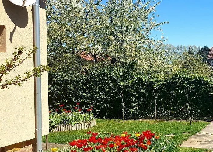 Borostyan Apartmann Appartement *