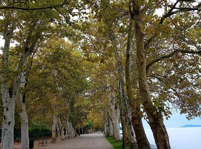 아파트 Borostyan Apartmann