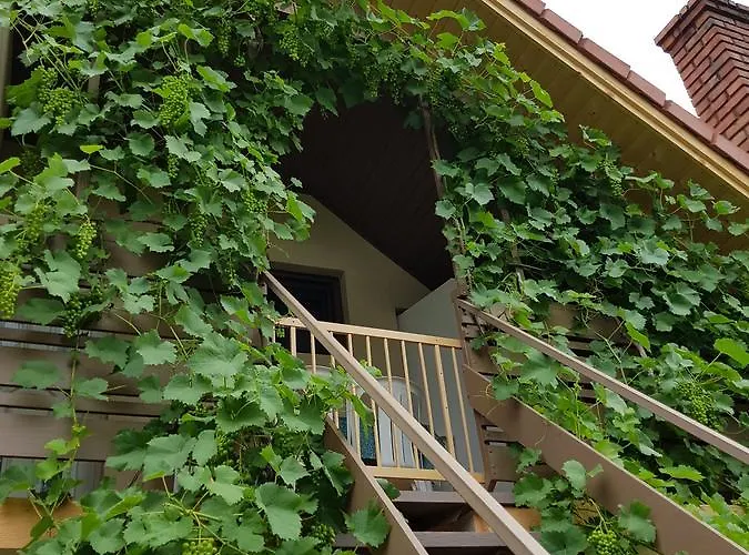 Borostyan Apartmann *